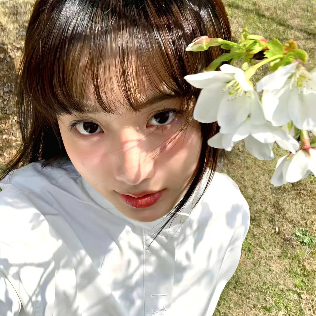舒克与桃花